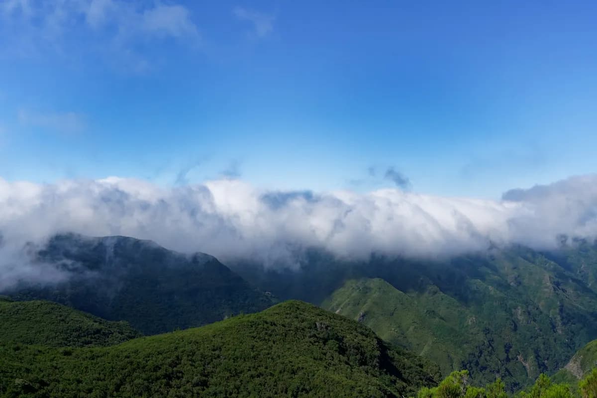 Melhores Miradouros da Madeira: 10 Vistas Que Não Pode