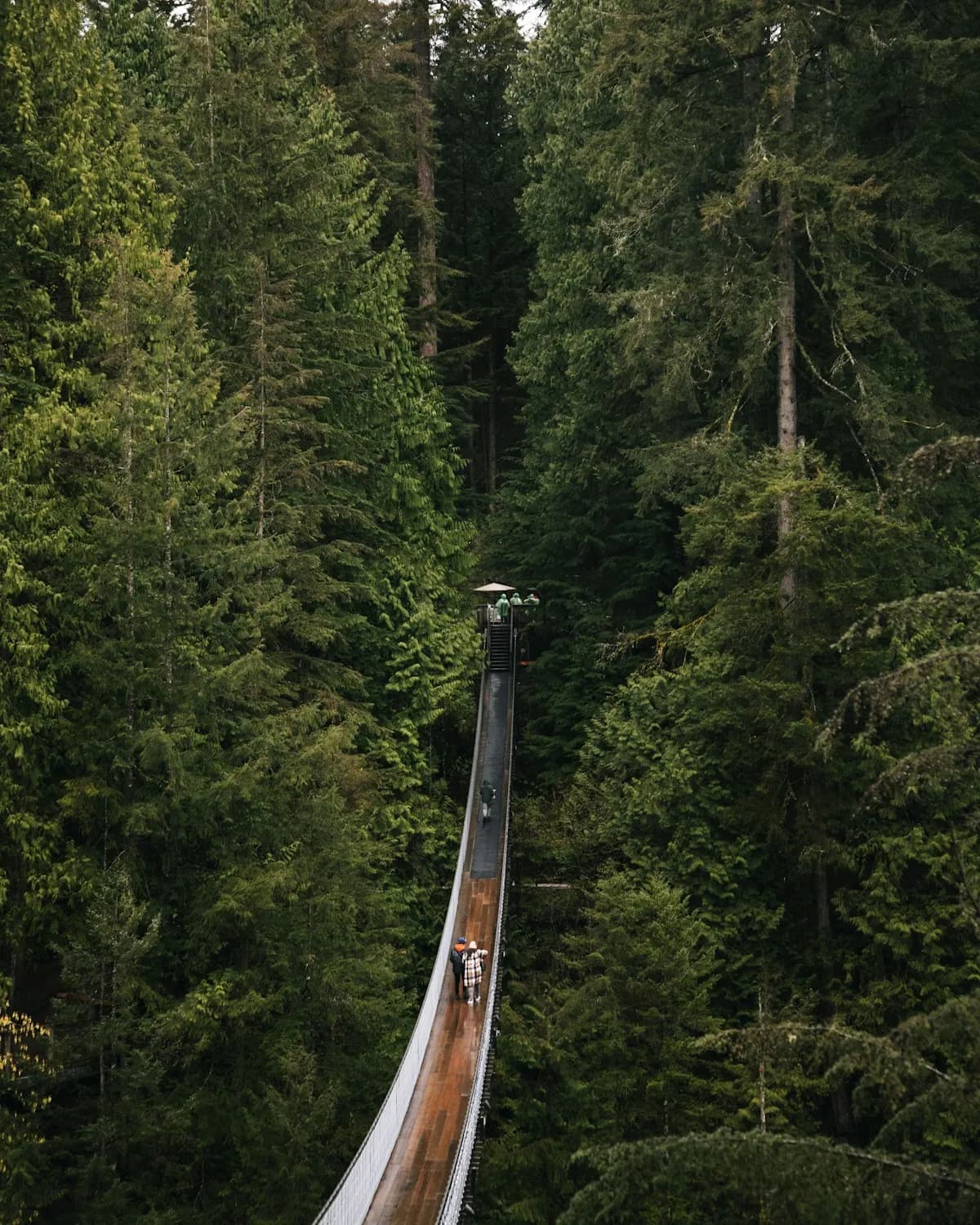 Zipline é Seguro? Tudo o Que Precisa Saber Sobre