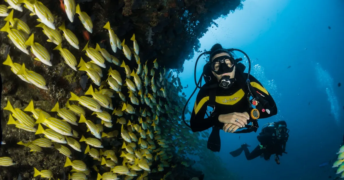 Caiaque na Madeira: Grutas Marinhas, Golfinhos e