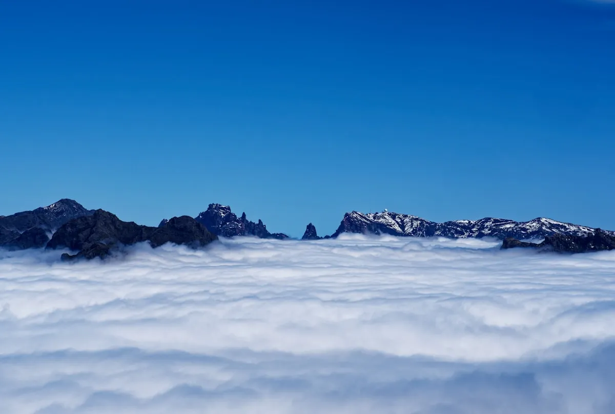 Madeira no Inverno: O Que Esperar