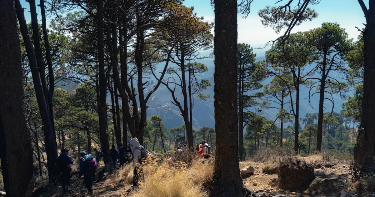 Madeira vs Lanzarote: Paraiso Verde ou Paisagem Lunar