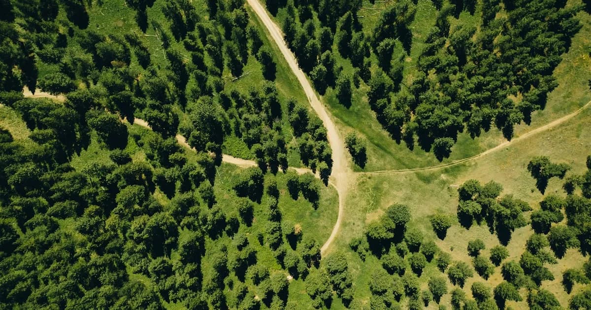 Madeira vs Maiorca: Qual Ilha É a Certa Para Si?
