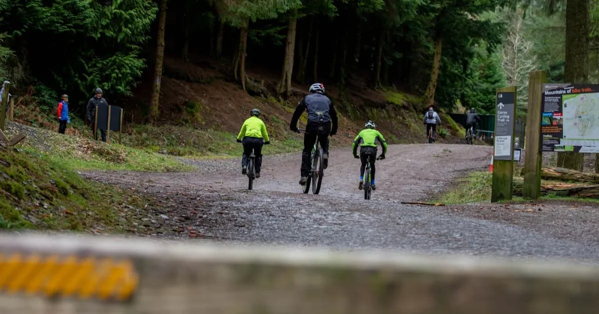 BTT na Madeira: Trilhos, Dicas e Guia Completo