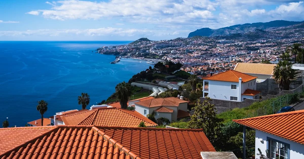 O Que Fazer em Camara de Lobos: A Vila Piscatoria
