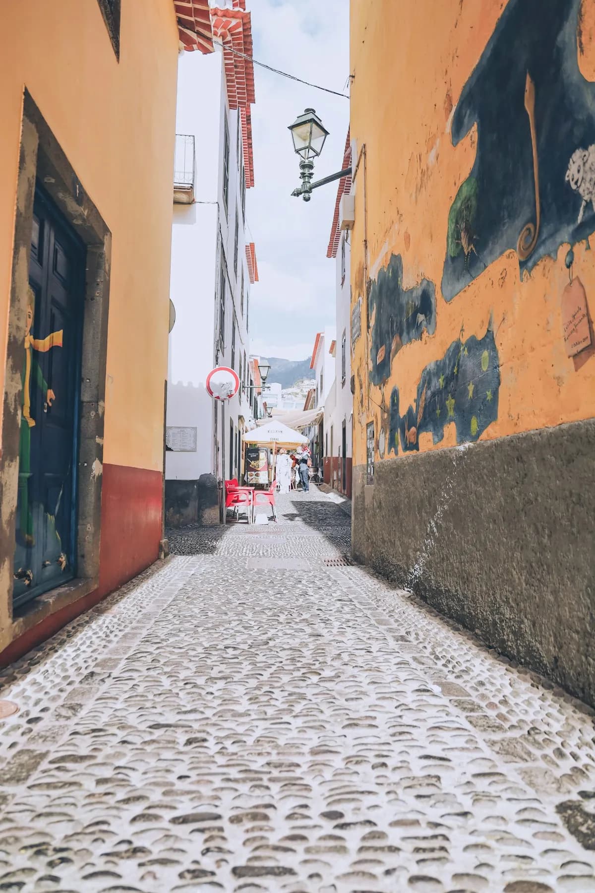 O Que Fazer na Madeira: 25 Atividades Imperdíveis (Guia