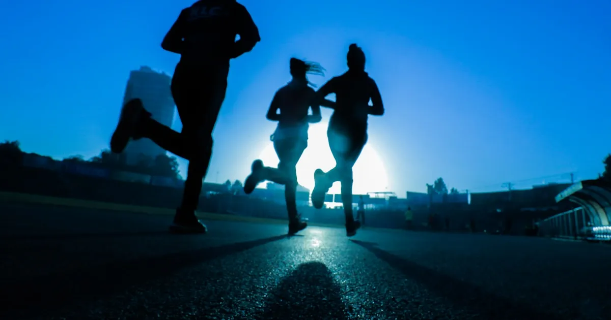 Trail Running na Madeira — Percursos, Corridas e Guia