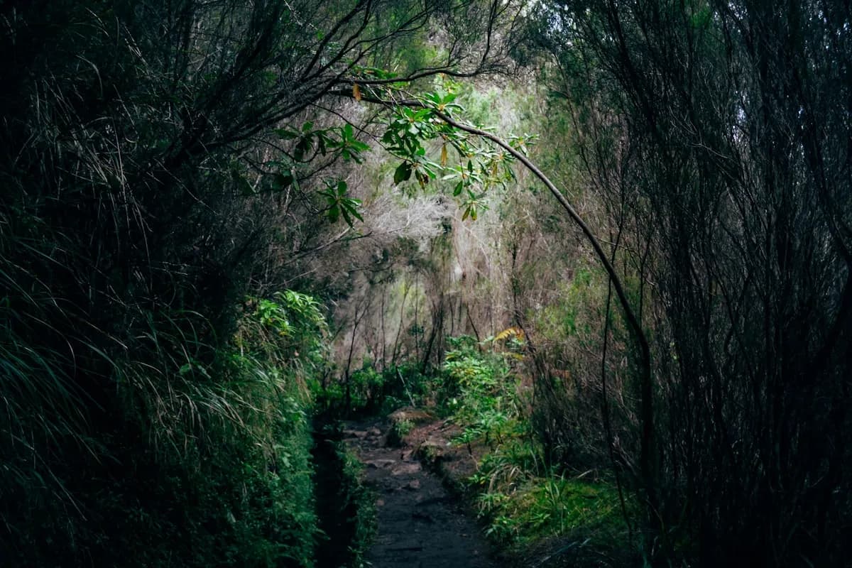 Porque é que a Madeira é o Melhor Destino de Aventura da